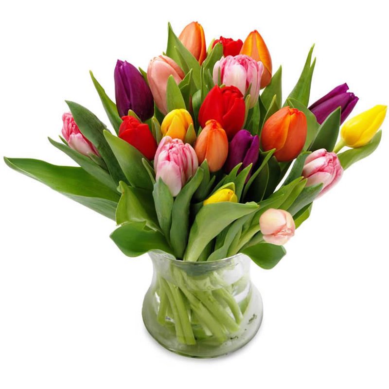 Bukiet 15 kolorowych tulipanów