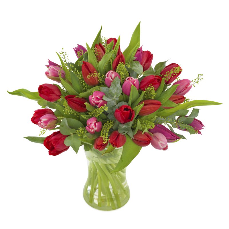 Bukiet 35 Tulipanów Czerwono-Różowych