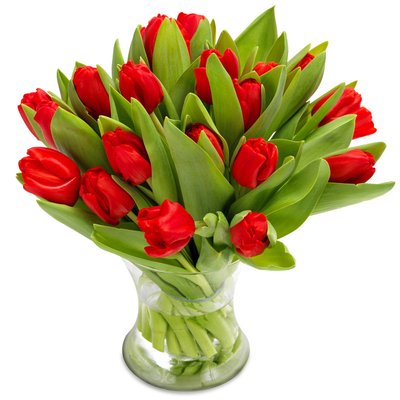 Bukiet Czerwonych Tulipanów
